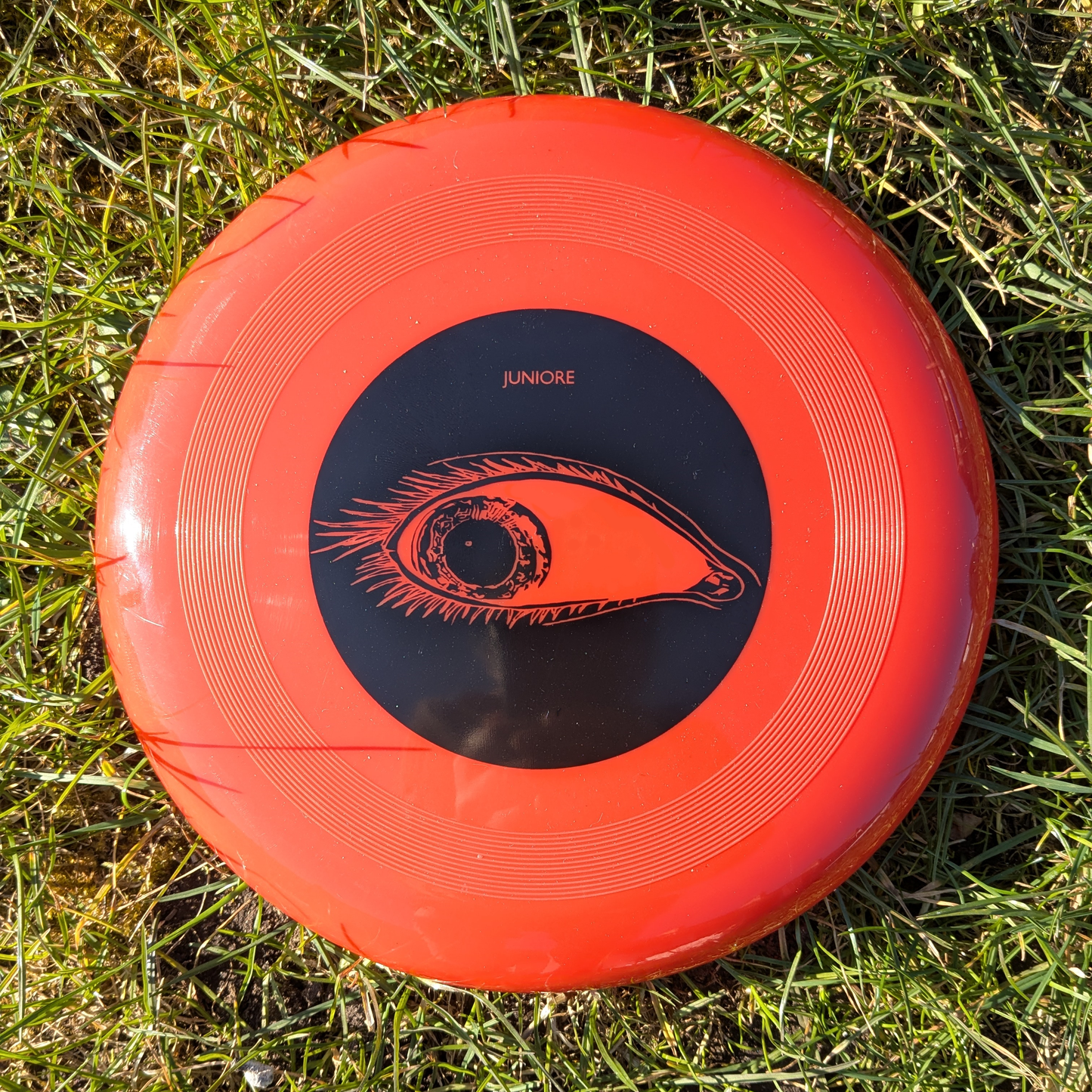 Panique Frisbee
